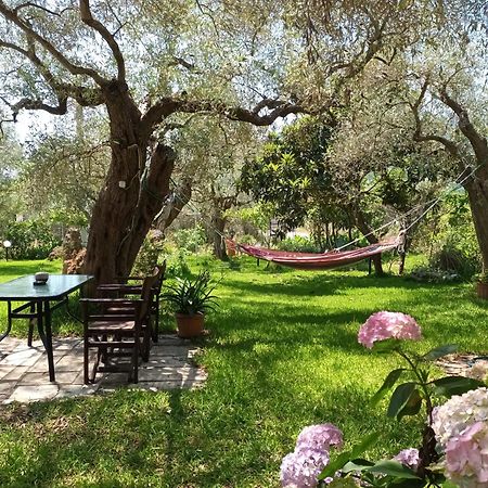 Hotel George Хриси-Амудия Номер фото